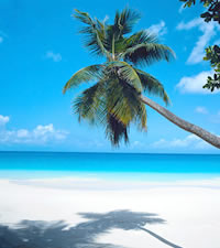 Destino Mágico e Encantador no Caribe