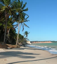 Caribe Brasileiro