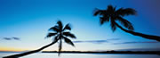 Viagens e f�rias em Jamaica