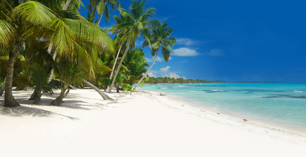Bavaro