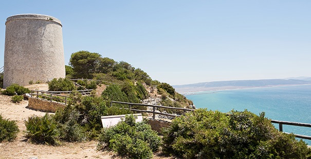 Barbate