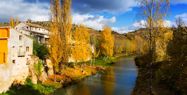 Guadalajara