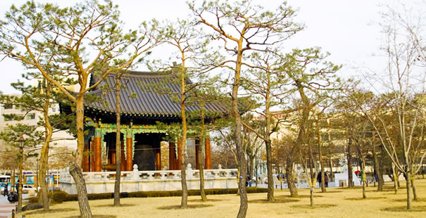 Daegu