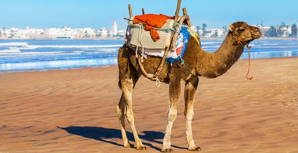 Essaouira