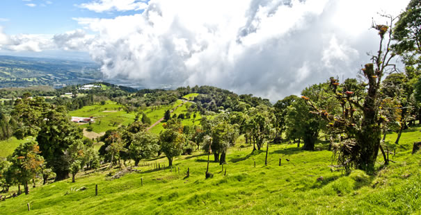 Valle Central