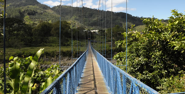 Guanacaste