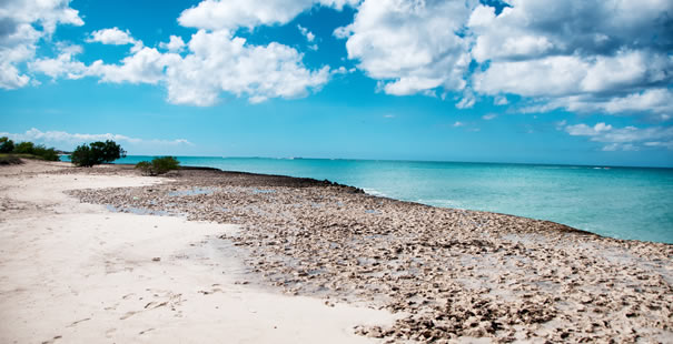 Isla De Aruba