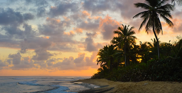 Vieques
