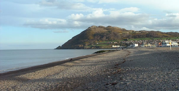 Bray