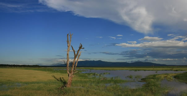 Parque Nacional Lago Manyara 