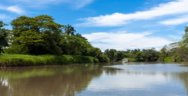 Sarapiqui