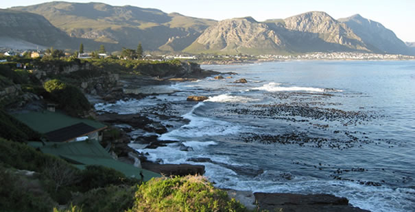 Hermanus