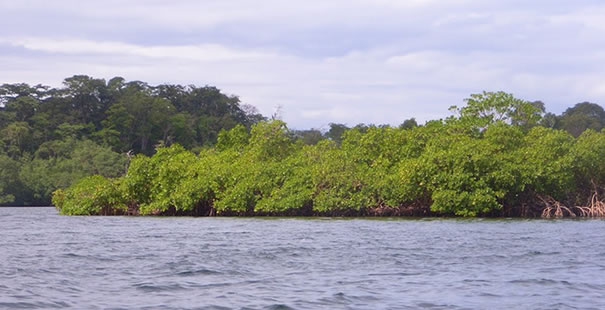 Bocas Del Toro