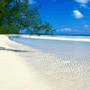Hot�is Gran Bahama