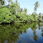 Hot�is Wattala