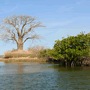 Hot�is Saloum