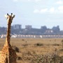 Hot�is Nairobi
