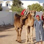 Hot�is Djerba