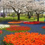 Amsterd� (Holanda)