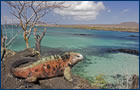 Cruzeiro por  Ilhas Gal�pagos