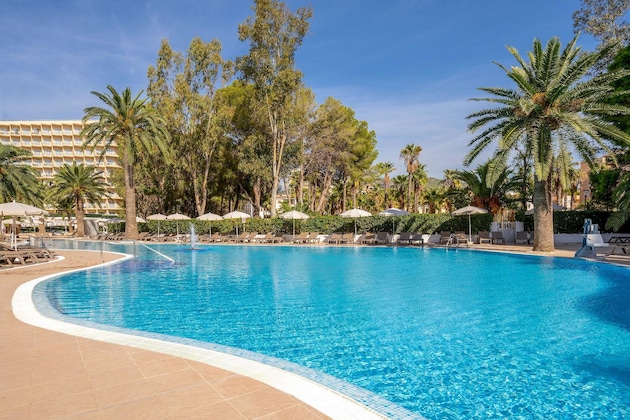 Gallery - Sol Palmanova - Mallorca