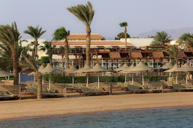 Gallery - Jaz Palmariva Beach Resort