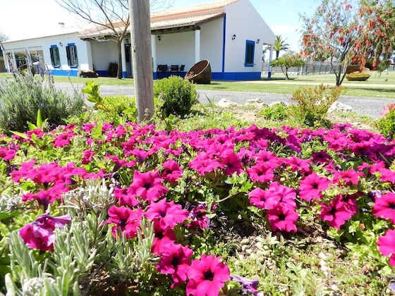 Gallery - Herdade Moita Mar - Country & Sea