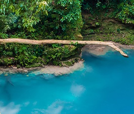 Os cruzeiros mais procurados para visitar Jamaica