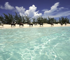 Os cruzeiros mais buscados para  Half moon Cay