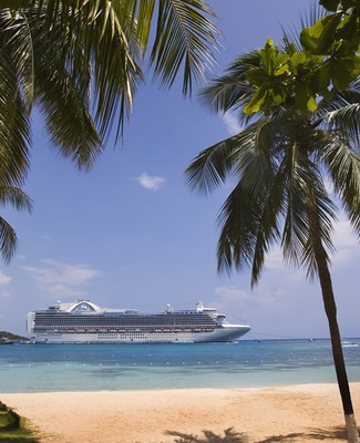 Imagem Crown Princess 16
