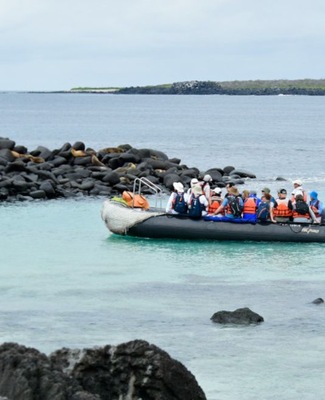Galápagos Tartaruga