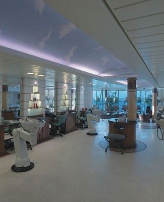 Imagem Vision of the Seas 11