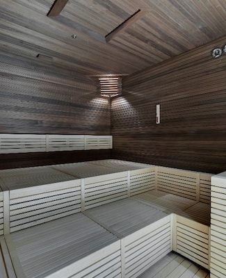 Spa sauna