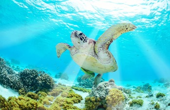 Ilhas Galápagos