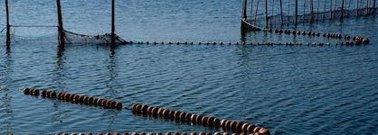 Parador De El Saler