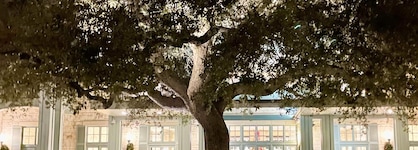 Hyatt Regency Hill Country Resort and Villas