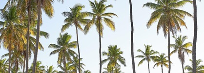 Grand Palladium Imbassai Resort & Spa All Inclusive
