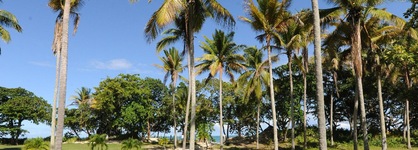 Blue Jacktar Hotel