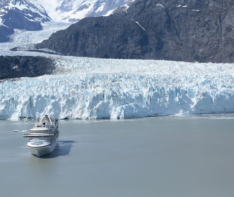 Imagem Crown Princess 14