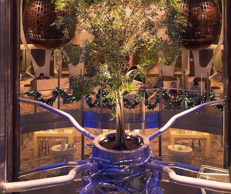 Imagem Celebrity Reflection 25