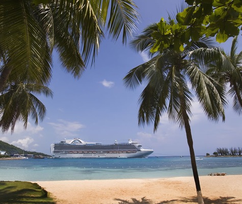 Imagem Crown Princess 16