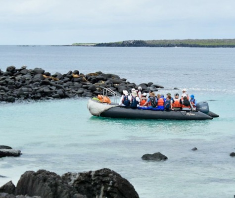 Galápagos Tartaruga