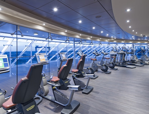 Imagem MSC Preziosa 6