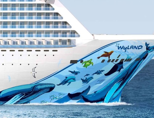 Navio
