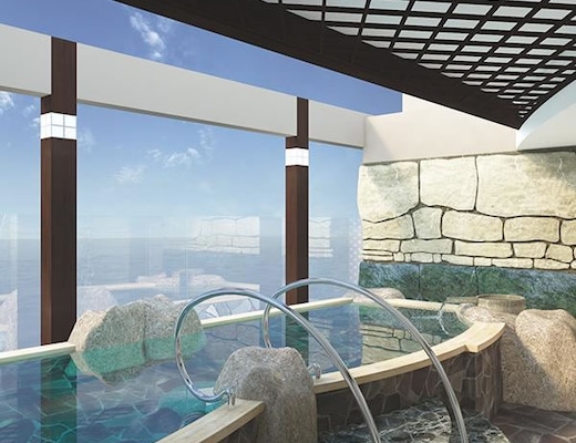 Imagem Diamond Princess 15