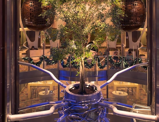 Imagem Celebrity Reflection 25