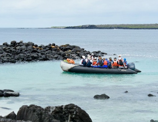 Galápagos Tartaruga