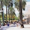 Kimpton Surfcomber Hotel, An Ihg Hotel - map