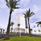Hotel Riu Palace Paradise Island All Inclusive - Adults Only - map