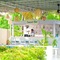 Soul Vacation Resort And Spa, Colva - map